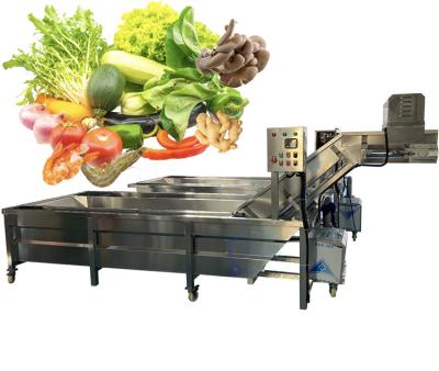 China Anti-erosie groenten en fruit wasmachine 50Hz voor industriële Te koop