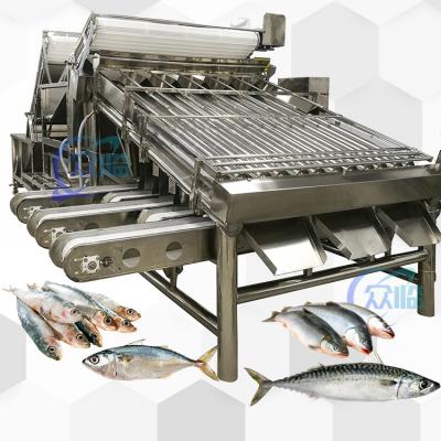 China High Speed Saury Sorting Machine Saury Roller Grader 5 Persons Operator for sale