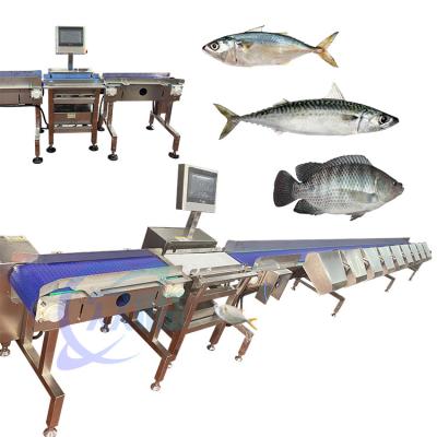 China China Speciality Crap Fish Grader Crap Fish Sorter Crap Fish Sizter Crap Fish Classify en venta