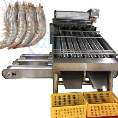 Κίνα Shrimp cleaning and grading machine Automatic shrimp sorting machine Customized shrimp grading machine according to need προς πώληση