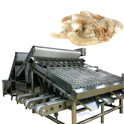 China Stainless steel shrimp processing and sorting machine Seafood sorting machine zu verkaufen