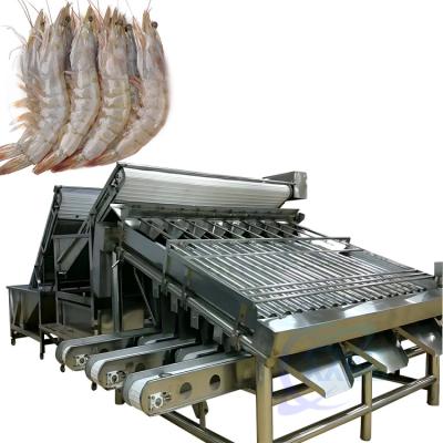 Cina Production line of integrated shrimp and fish cleaning machine Customized large drum shrimp grading machine in vendita