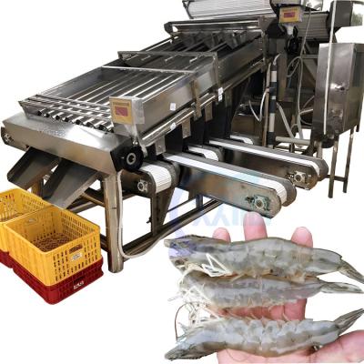 중국 Shrimp Separator High-precision shrimp sorting machine for seafood processing 판매용