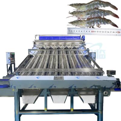 China Shrimp processing fully automatic shrimp shelling line Shrimp impurity removal and sorting machine zu verkaufen