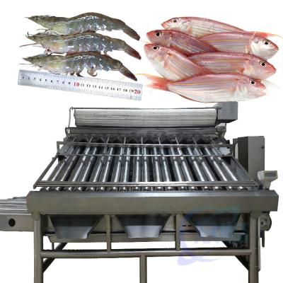 중국 automatic fish grading machine sorting machine fish size grading machine 판매용