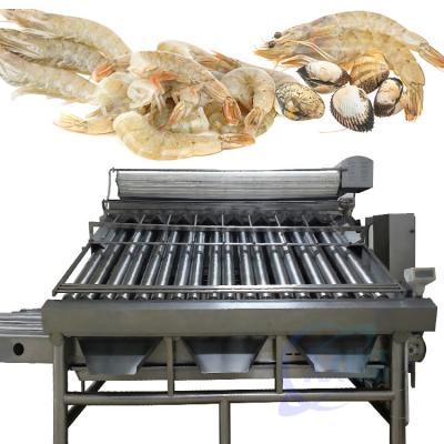 中国 Shrimp grading machine, shrimp cleaning and sorting machine, shrimp screening machine after shelling 販売のため