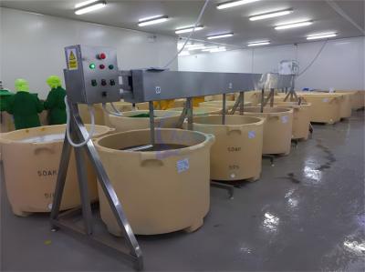 Cina Large capacity drum mixer Shrimp Processing in vendita