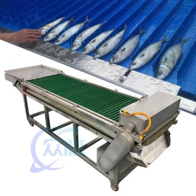 Chine machine à découper en morceaux pour la transformation du poisson, machine électrique de décapage à vendre