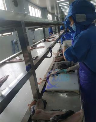 China Professionele roestvrij staal 304 Tilapia schilmachine 0,75 kW Tilapia peeling machine Te koop