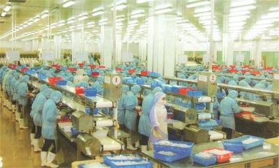 China Aanpassing roestvrij staal frame Food Processing Assembly Line Belt Conveyor visverwerkende transportband Te koop