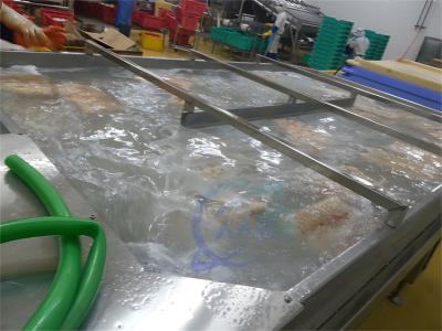 China Camarón congelado de la máquina del deshielo del ciclo del agua que se lava de los pescados y del camarón de la planta de tratamiento de los mariscos que procesa la lavadora en venta