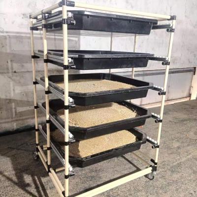 China 500KG Weight Capacity Rustproof Black Soldier Fly Larvae Breeding Pan Rack for sale