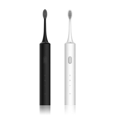 China 2021New Household Sonic Electric Toothbrush Design for sale