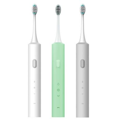 China Portable Household Electric Toothbrush Sonic Toothbrush Body for sale