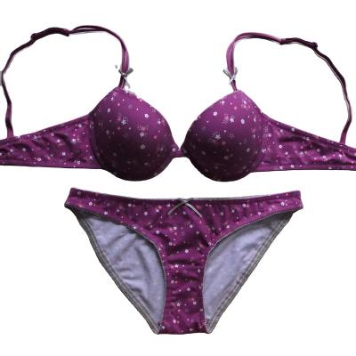 China New QUICK DRY Hot Sale Women's Small Flowers Printing Purple Color Cotton Spandex 3/4 Cup Bra Brief Ladies Women Underwear for sale