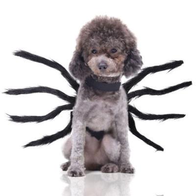 China Fashion Dog Cat Halloween Costume Black Spider for sale