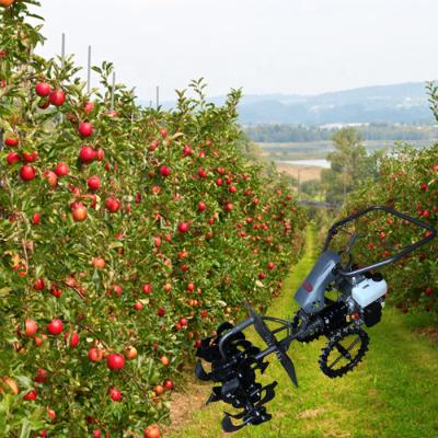 China Weeding China Used Mini Power Tiller Weeder Agricultural Machinery for sale