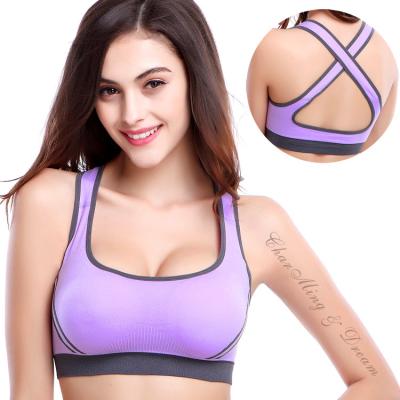 China Breathable Plus-Size Workout Running Gym Women's Seamless Fit Meet Sportbra for sale