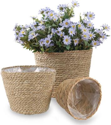 China Indoor Organizer Garden Planters Viable Plant Plankton Woven Storage Baskets Rattan Planters Baskets for sale