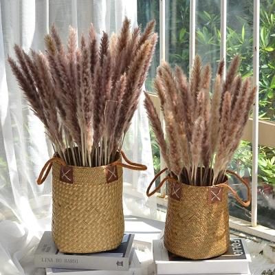 China Flowe Dried Flowers Amengni 30 Pcs Pampas Grass, 17.7 inch/45cm Natural Dried Pampas Grass Branches Decor For Home Kitchen for sale