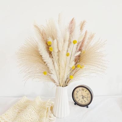 China Flowe Dried Flowers Amengni 115 PCS Natural Dried Pampas Grass, Boho Floral Arrangements, White & Brown pampas grass for sale