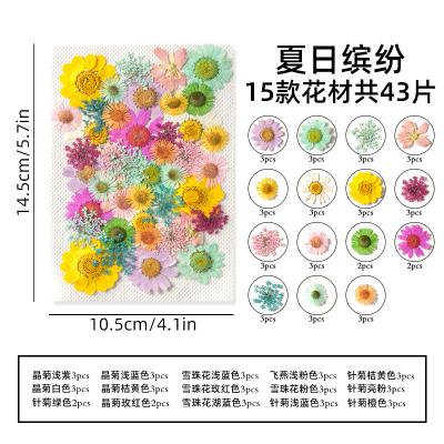 China Mural dried flower Amengni dried flowers New dried flowersDIYPattern photo Bookmark Embossed painting Package Material real flowerr for sale