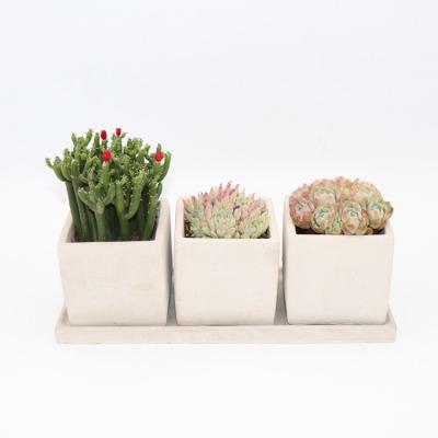 China Nordic Rustic Solid Succulent Container DIY Handwork Concrete Cactus Plant Flowerpot Set for sale