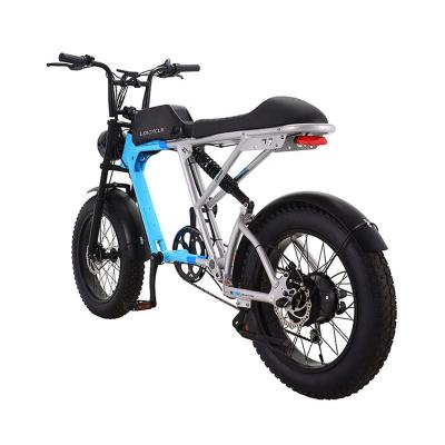 China LOICYCLE Aluminum Alloy Frame Electric Bicycle 20