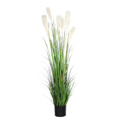 China Wholesale Fashional Artificial Flower Plant Boho Wedding Home Decor Large Reed Plume Pampass Grass Fluffy Big Natural Dry for sale