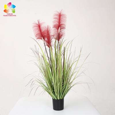 China Fashional Artificial Flowers Wrapping Large White Beige Dry Fluffy Rose Pampas Grass Natural Wedding Decor Preserved Flower Dry Pampas Grass for sale