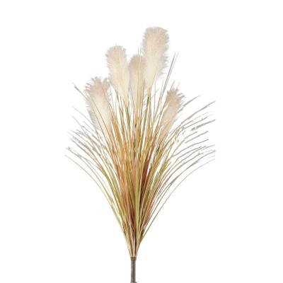 China Natural Fluffy Reed Grass Stems Bouquet For Boho Home Decor High Quality Suitable Fashional Artificial Flower Prices Dried Flowers Pampas Grass for sale