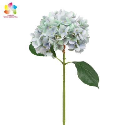 China High quality fabric touch artificial flower latex real hydrangea for wedding decoration for sale