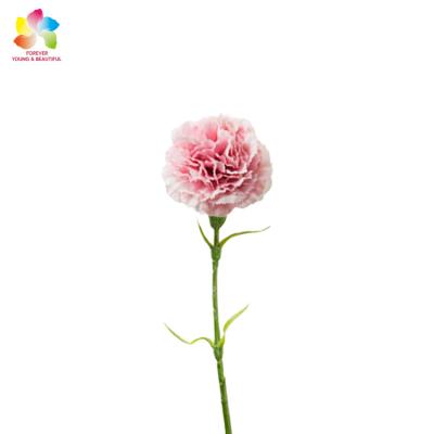 China Wholesale High Quality Artificial Strip Flower Carnation For Sale for sale