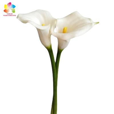 China Real plastic wholesale home decor artificial flower touch pu white zantedeschia for sale