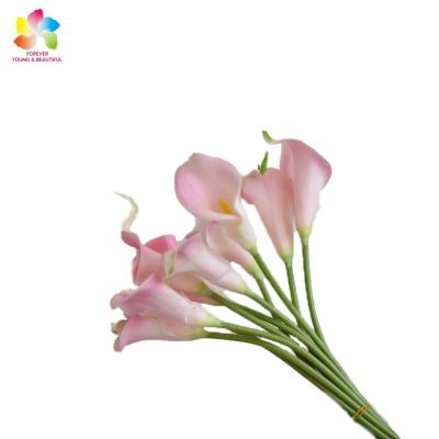 China Holiday/Christmas Day Decoratiom/Home Decoration/Artificial Lily Wedding Decoration Real Touch Wholesale Calla Lily Artificial Flower For Home factory supply calla garden flowers for sale