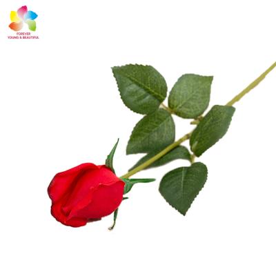 China Flower Wedding Decoration Silk Fabric Rubber With Stem Artificial Red White Rose Rose For Sale for sale