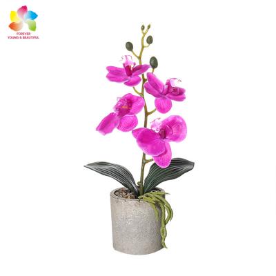 China Wholesale Real Touch Rubber Artificial Orchid Factory Flower Orchid Butterfly Fabric Artificial Flowers With Pot Orchid With Vase for sale