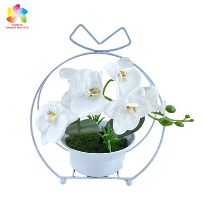 China Indor Decoration Wedding For Sale Ornamental Wall Art Woody Plant Orchid Plants Home Decor Wholesale Artificial Decorative Artificial Bonsai for sale