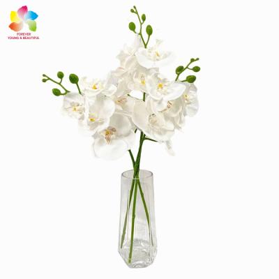 China Wholesale Artificial Flowers Wedding Park Natural Artificial Home Decoration Orchid Touch Phalaenopsis for sale