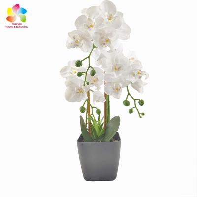 China Wholesale Factory Outlet Contact Natural Home Artificial Plastic Plastic Orchid Phalaenopsis Pond Decoration for sale