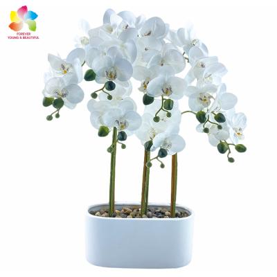 China High Quality Natural Phalaenopsis Artificial Orchid Contact Sale Wedding Home Decor Artificial Orchid Wholesale for sale