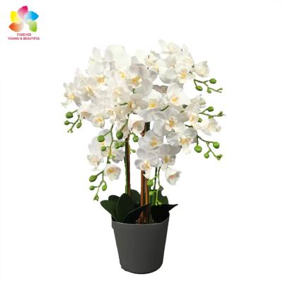 China New Design Simulation Eco-friendly Flower For Garden Hotel Decor Artificial Orchid Plants for sale