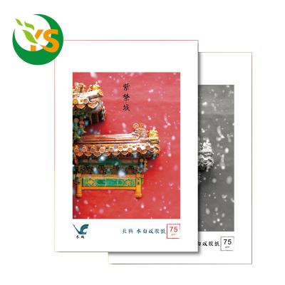 China Waterproof long crane double gummed paper, high pine thickness, high cost performance, good opacity, suitable for teaching auxiliary gifts for sale