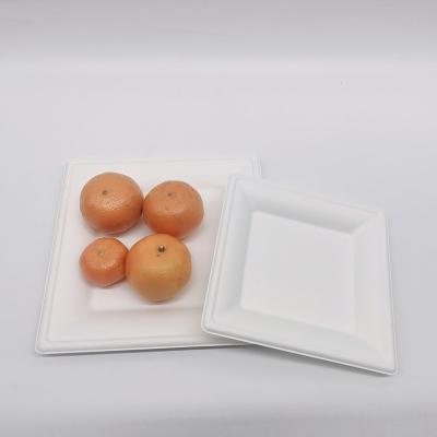 China Traditional Wholesale Sugar Cane Food Bagasse Container Disposable Biodegradable Square Dish for sale