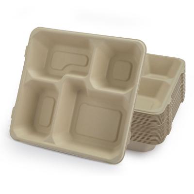 China New Traditional Bagasse Raw Material Raw Material Four Compartmented Color Four Compartmented Lid for sale