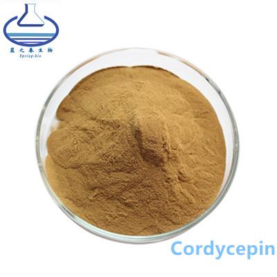 China 73-03-0 extracto de la planta del Stevia, polvo del 3% el 5% Cordyceps Militaris en venta