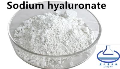 Chine Poudre de Hyaluronate de sodium de pureté de 90% pour le soin facial 9067-32-7 à vendre