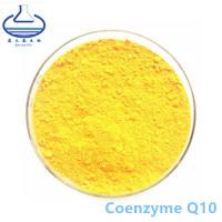 China Antioxidant Coenzyme Q10 Powder for sale