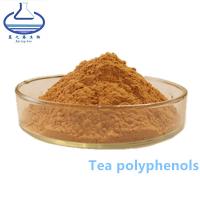 China Tea Polyphenols Green Tea Extract Powder Food Grade Leaf Part Extract for sale