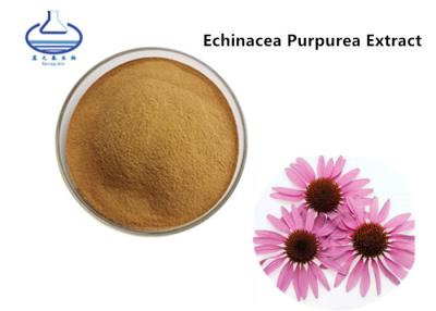 Chine L'extrait de lutéine de Purpurea d'Echinacea saupoudrent le polyphénol 90028-20-9 à vendre